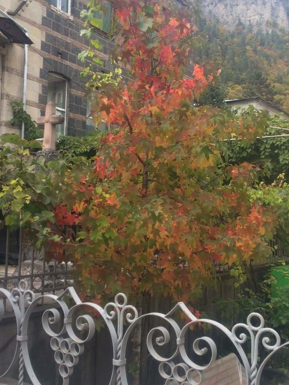 Old House Rustaveli Hotel Borjomi Exterior foto